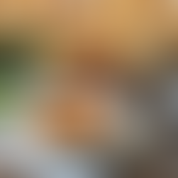 halászlé & breaded carp, Credit: Sipandsavour.blog