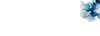 Graphic bg1.png
