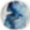 circle graphic.png