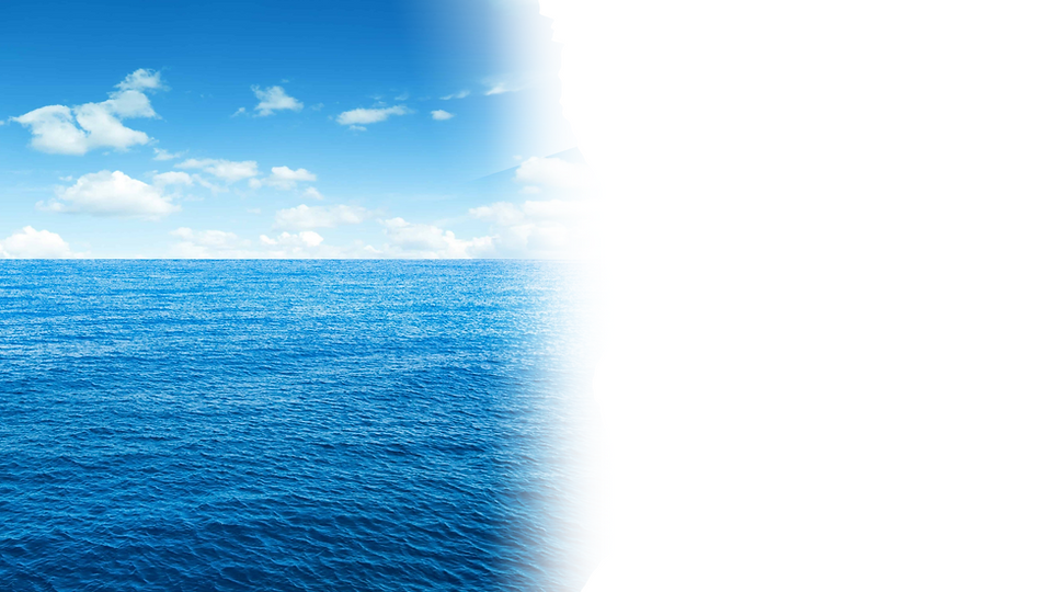 Desain tanpa judul (5).png