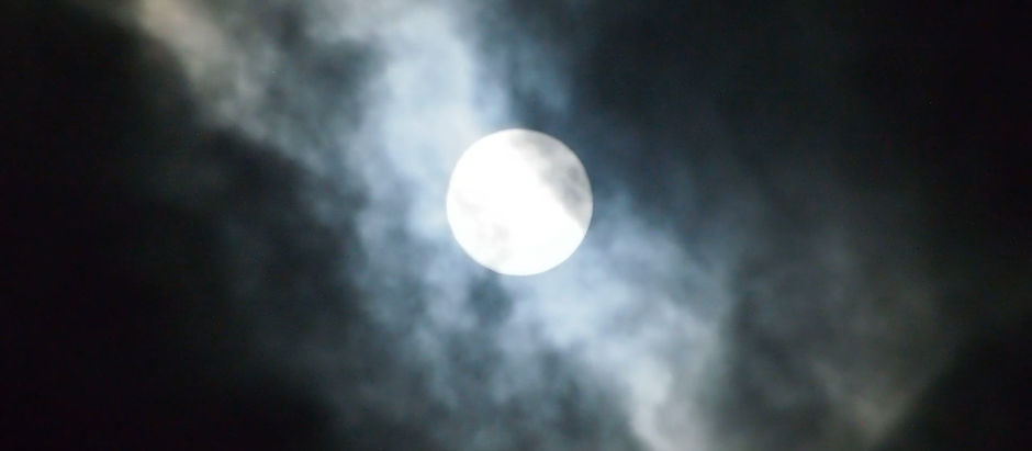 رحلةٌ في المجهولِ - محمد هادي