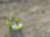 iStock-103897157.jpg