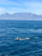Robbin Island to Cape Town Crossing