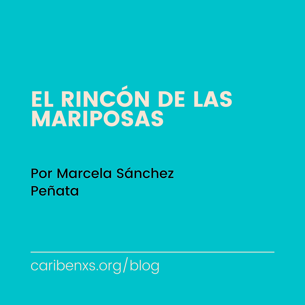 El rincón de las mariposas
