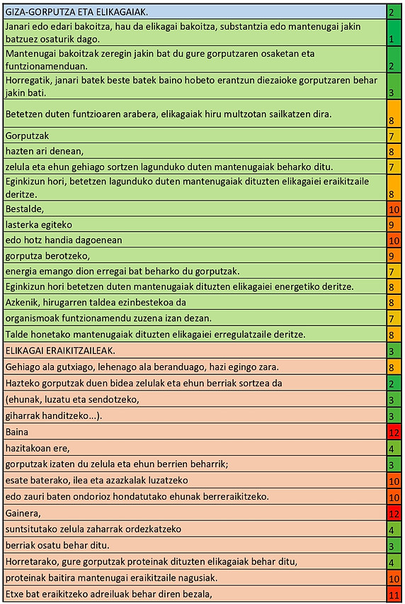 Jatorrizko testuaren hierarkia_page-0001.jpg