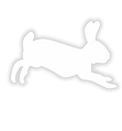 White Rabbit 2.png