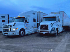 Fleet of Kiara Transport trucks lined up at Edmonton yard