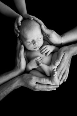 newborn posing bordeaux