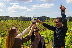 AlgarvingTours-137.jpg