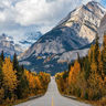 Planning a Fall Foliage Trip in Canada? Six scenic fall foliage routes across Canada, from the Cabot Trail to the Icefields Parkway, with peak timing, access notes, and where to stay. Book These Routes