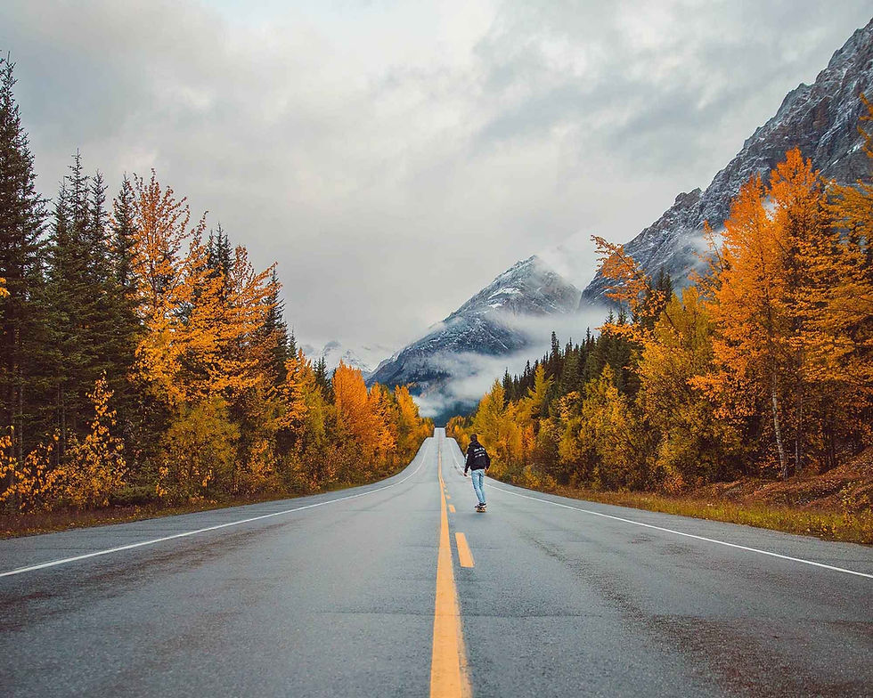 Icefields Parkway, Alberta during fall - fall foliage
