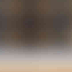 Dark Brown Fine Line Plaid wallpaper