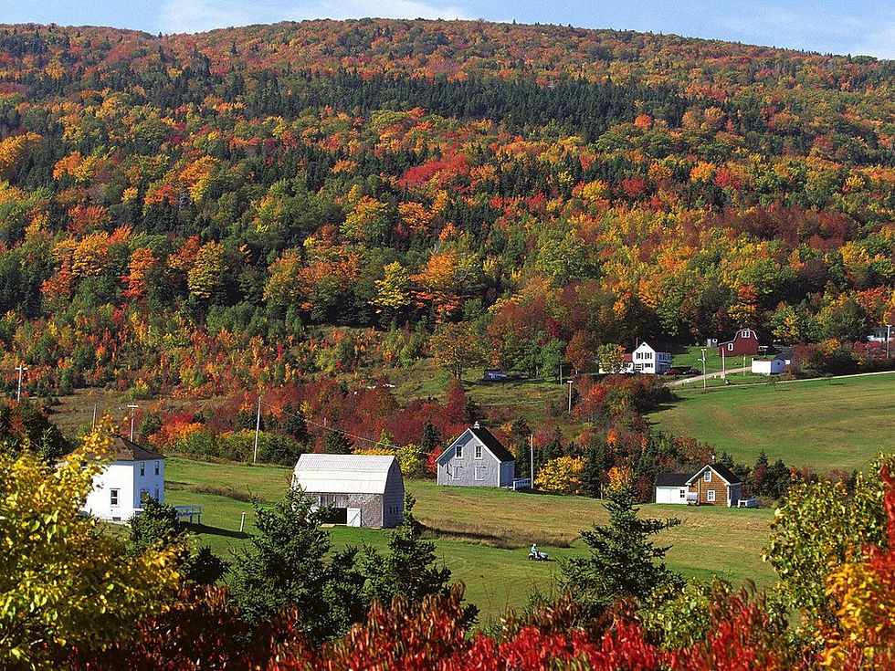 Cabot Trail, Cape Breton, Nova Scotia during fall - fall foliage