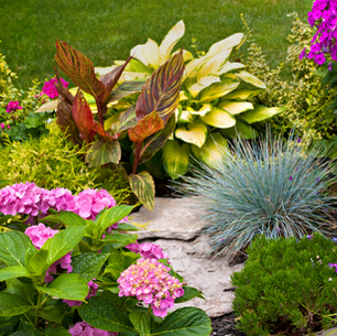 Dahlias, zinnias, hydrangeas, peonies, and snapdragons are the summer flowers worth planting right now, and here's exactly how to grow them across Canada.