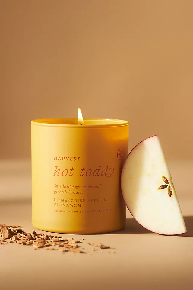 Anecdote Harvest Hot Toddy Glass Candle, fall candle