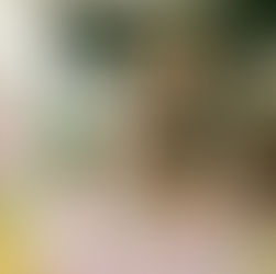 Five Easter Recipes Every Host Needs at Their Table This Year The recipes North Americans are searching for most — honey-glazed ham, roasted leg of lamb, deviled eggs, carrot cake, and scalloped potatoes — with the editorial guidance to make them beautifully.