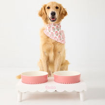 Build Your Pet Bowl Stand
