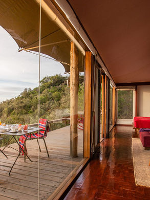 An Unforgettable Safari Adventure in Kenya's Most Luxurious Boutique Camps