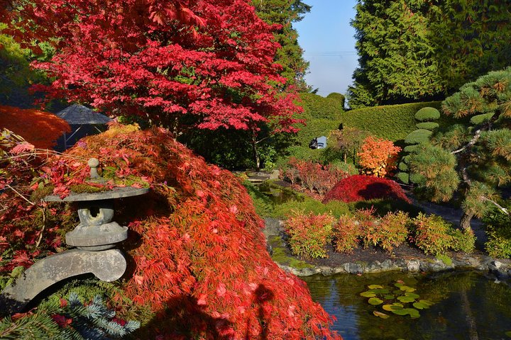 Buchart Gardens in fall