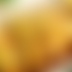 Homemade Stuffed Cabbage rolls