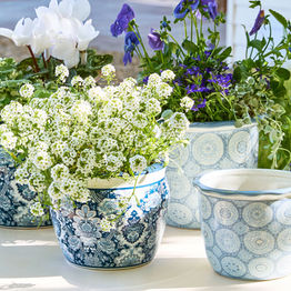 Pottery Barn CA
Kravet Arboretum Cachepots
