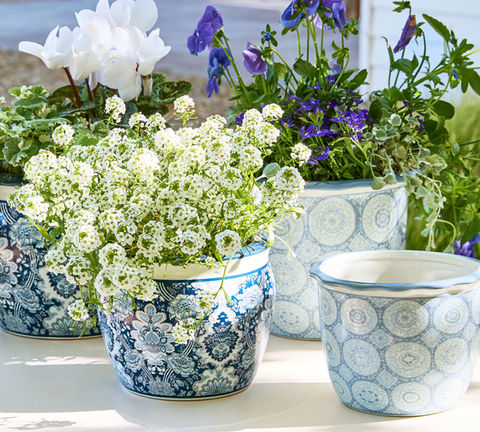Pottery Barn CA
Kravet Arboretum Cachepots
