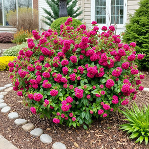 The 10 Best Plants for Winter That Will Bloom All Season