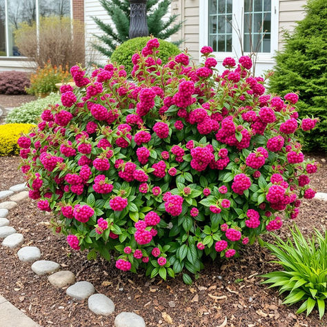 The 10 Best Plants for Winter That Will Bloom All Season