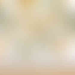 Orange Blossom Wallpaper