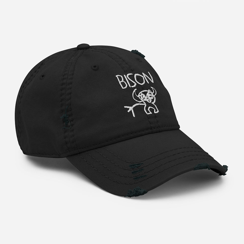 Thumbnail: Bison Distressed Dad Hat
