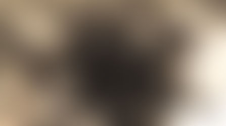 Nós e a Sereníssima República