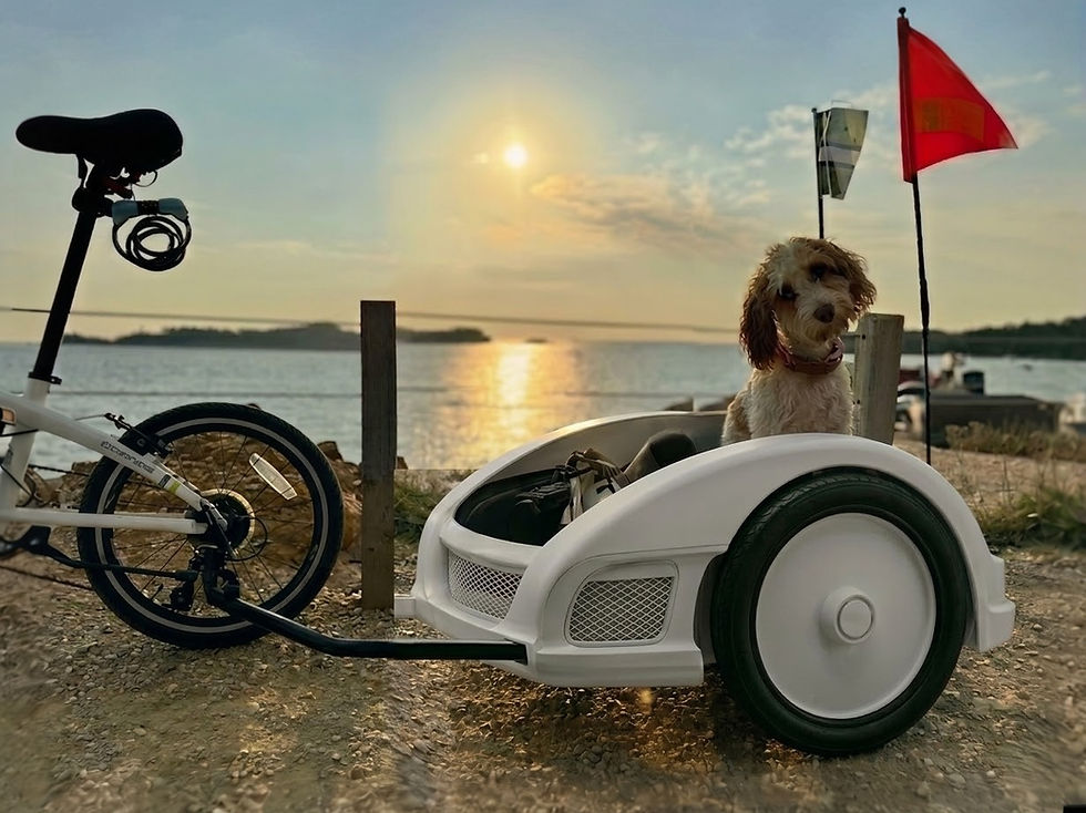 Thumbnail: Cruiser Designs