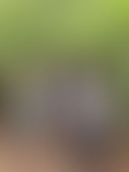 The Sacred Wounds of The Feminine: Free To Be She Chapter Two Excerpt