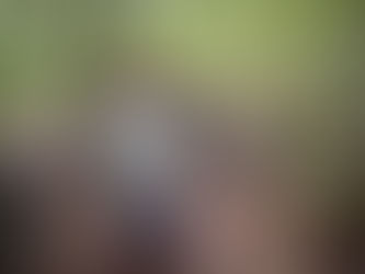 The Wise Woman: The Evolution Into Wisdom - Free To Be She Chapter Eight Excerpt