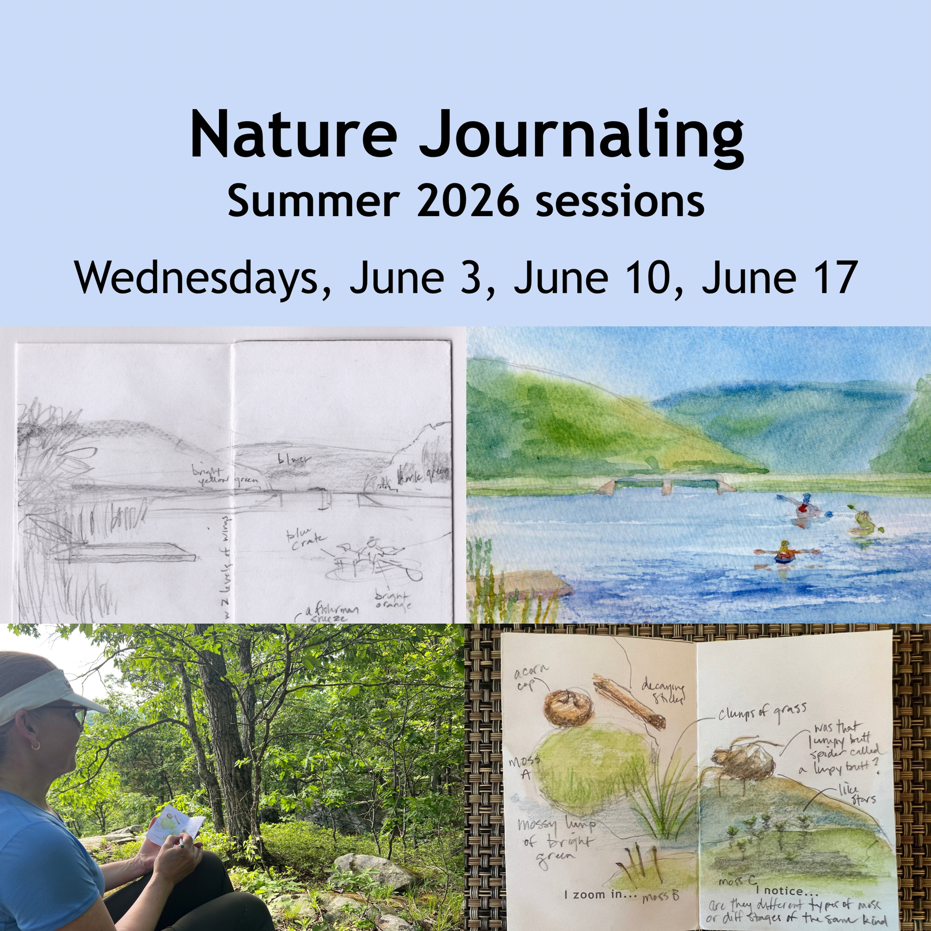 Nature Journaling Summer Sessions