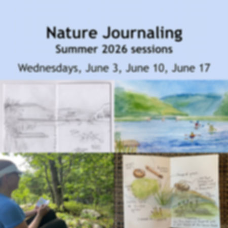 Nature Journaling Summer Sessions