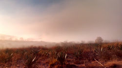 Amanecer en el campo