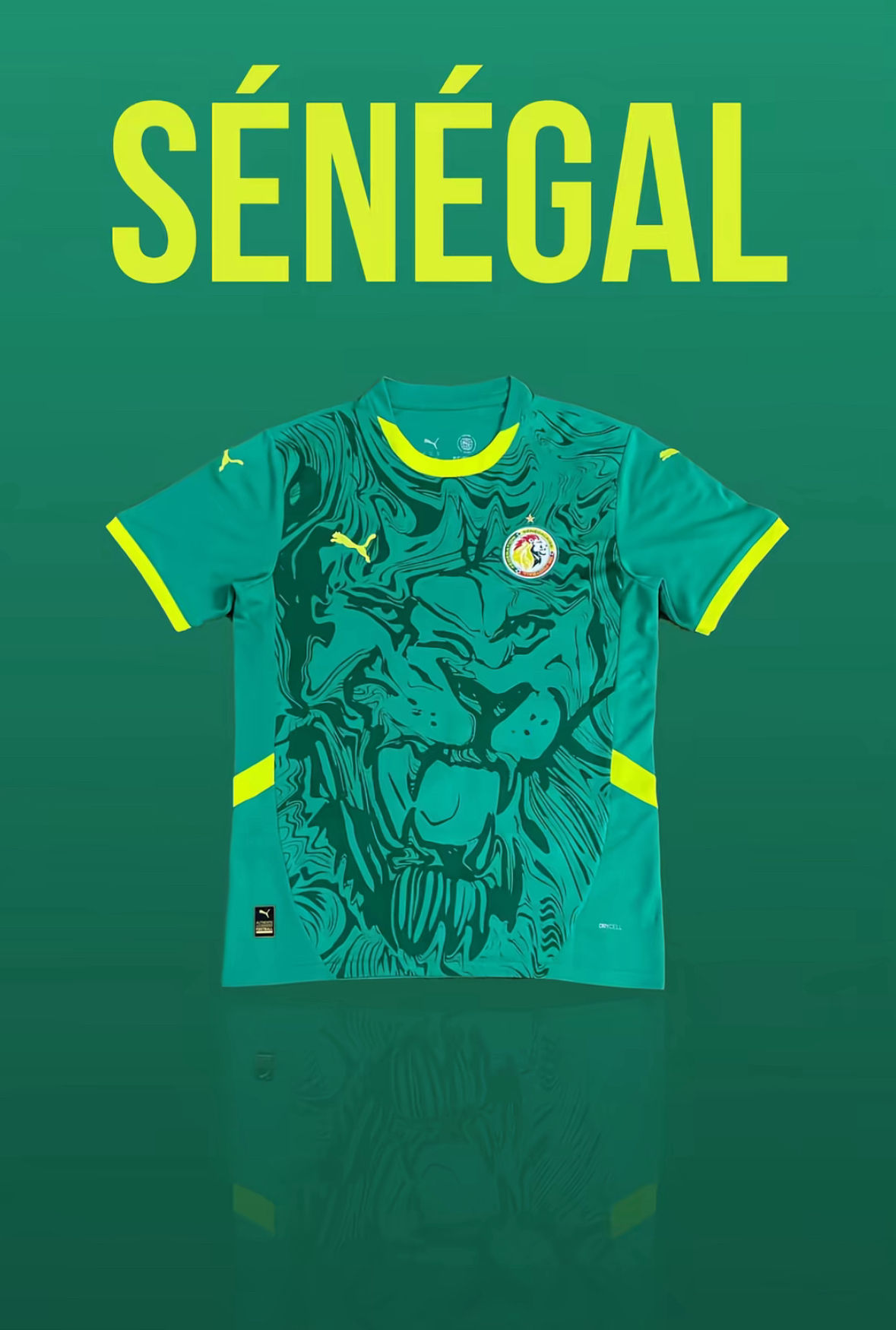 Maillot domicile Sénégal 2024 / 2025
