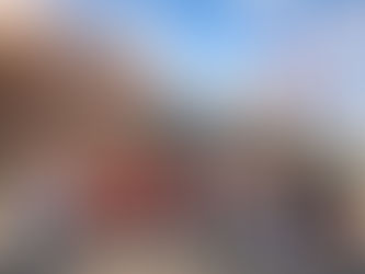 Honoree Spotlight: Polk State College