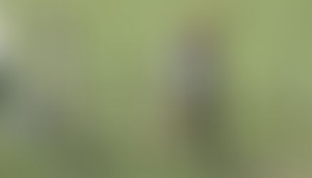 Aumento para trabajadores rurales