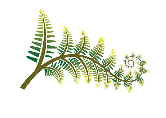 Fern
