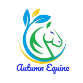 external-file_edited.png