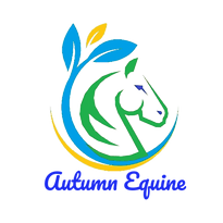 external-file_edited.png