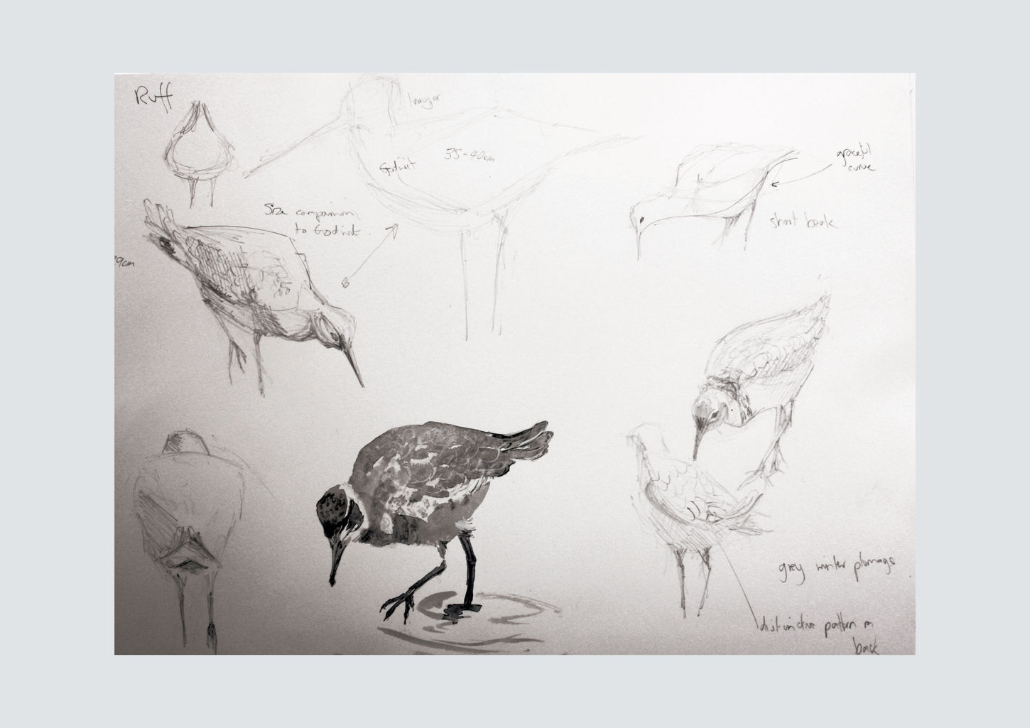 Small Vivien Portfolio p22 ruff flat jpegwix.jpg