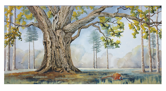 Oak tree small jpegwix.jpg