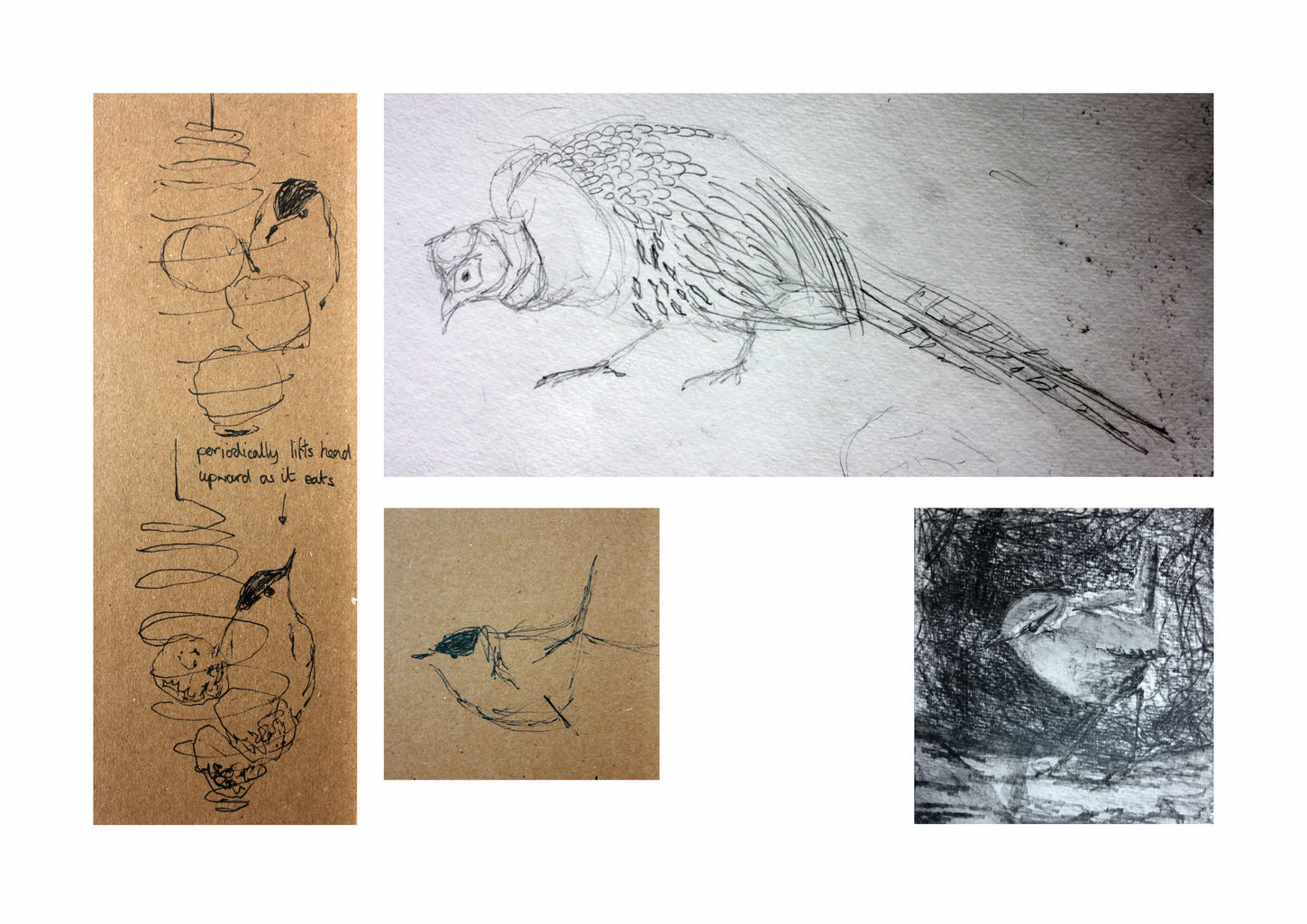 Small Vivien Portfolio p23 sketches jpegwix.jpg