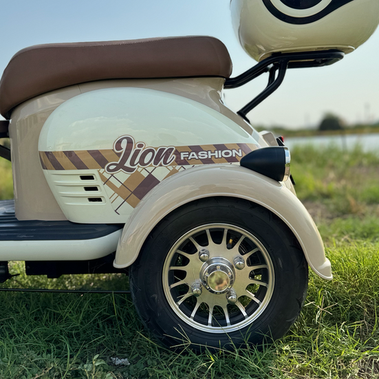 LION EV LION X01 Electric Tricycle 