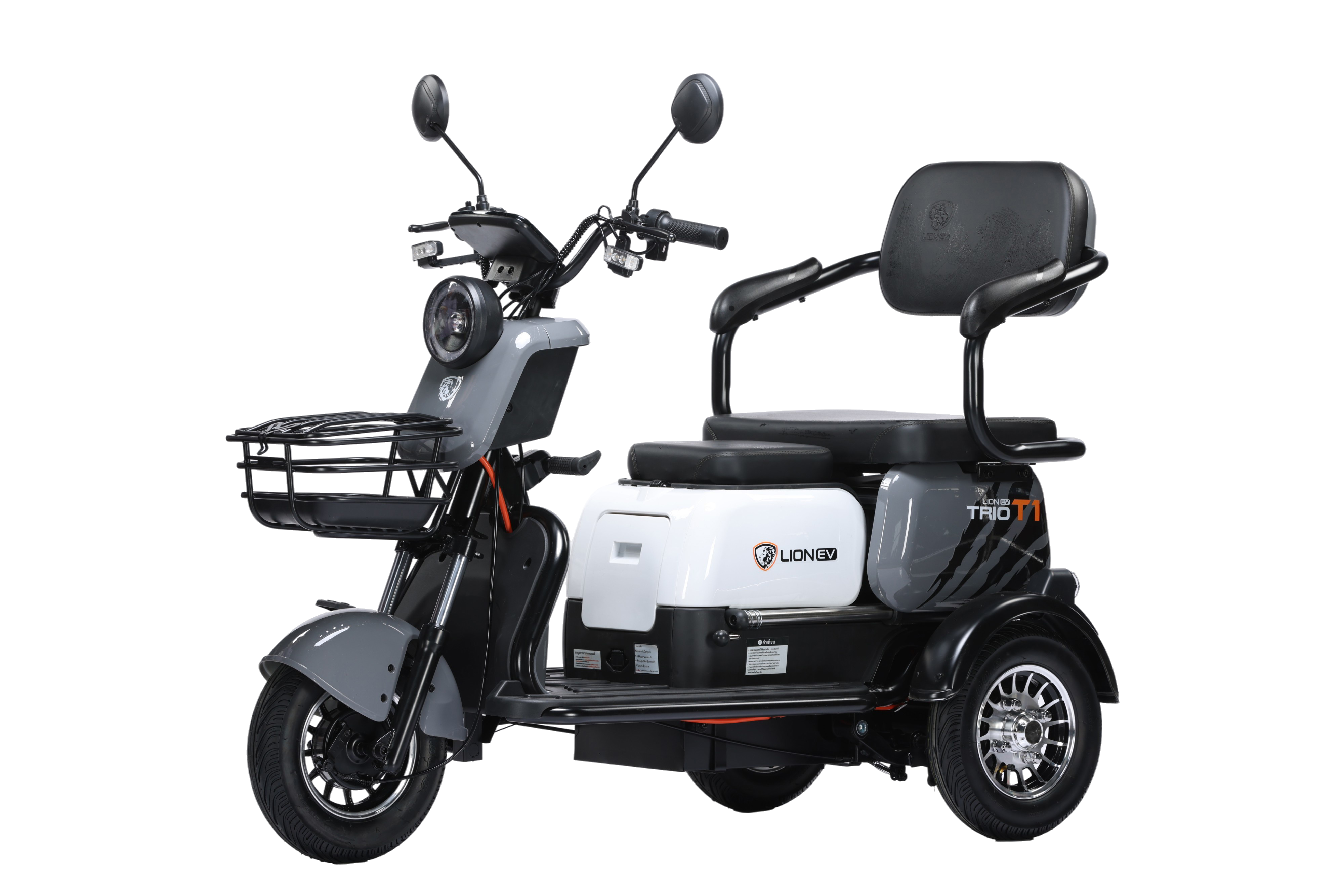 LION TRIO T1 Detail