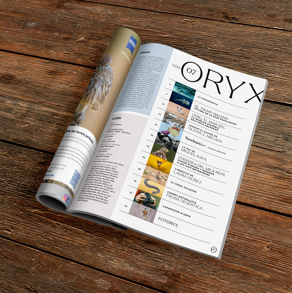 indice mockup 7 cat.jpg