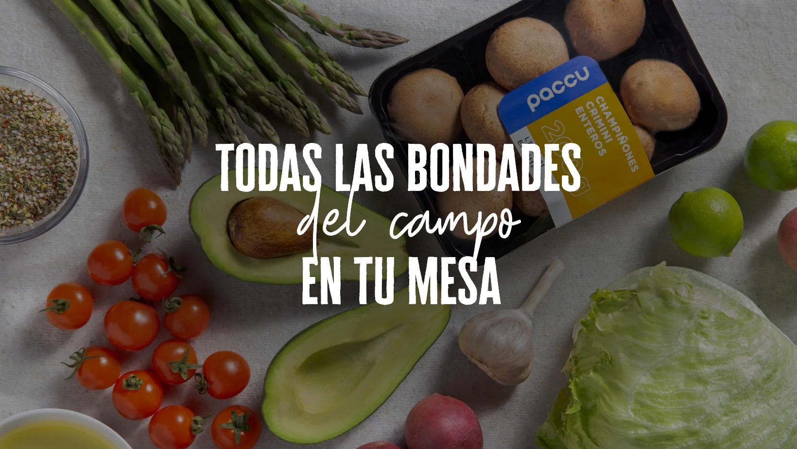 6.webp